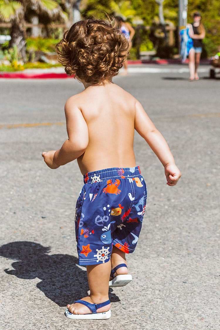 Sea Animals Boys Swim Trunks