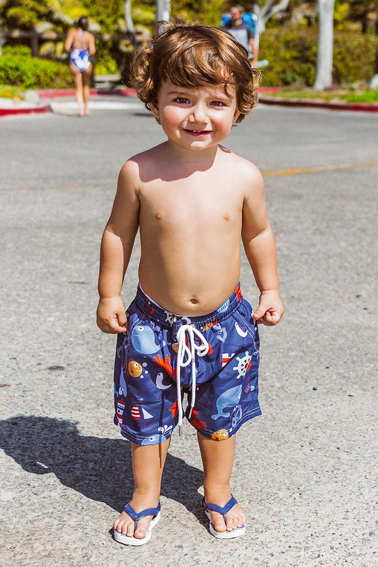 Sea Animals Boys Swim Trunks