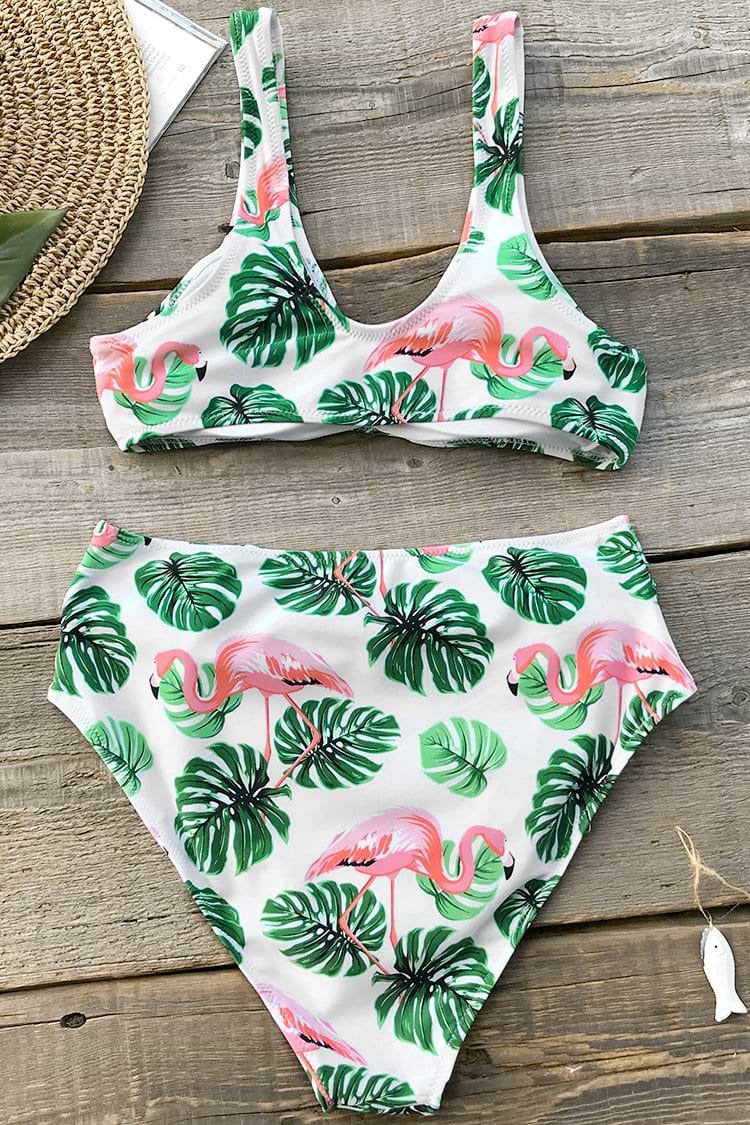 Flamingo And Monstera Print Bikini