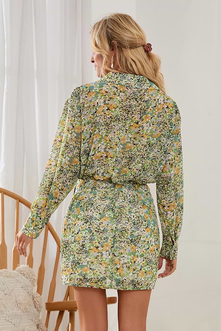 Rayne Ditsy Fitted Waisted Shirt Collar Dress