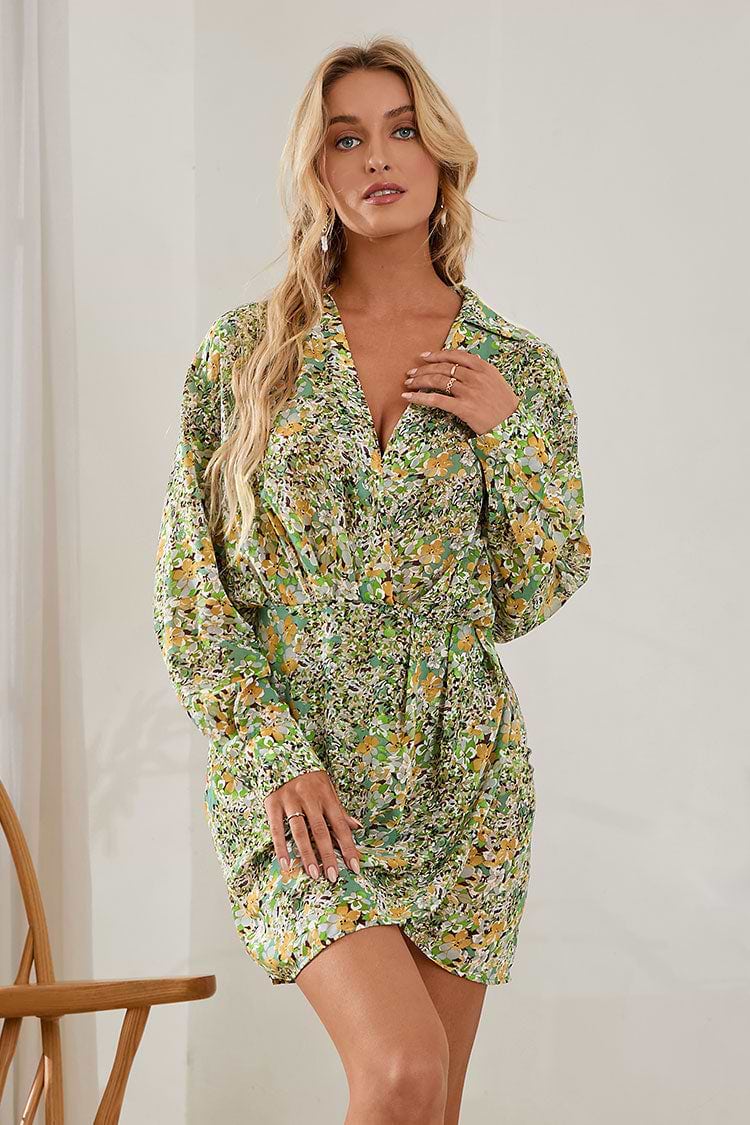 Rayne Ditsy Fitted Waisted Shirt Collar Dress