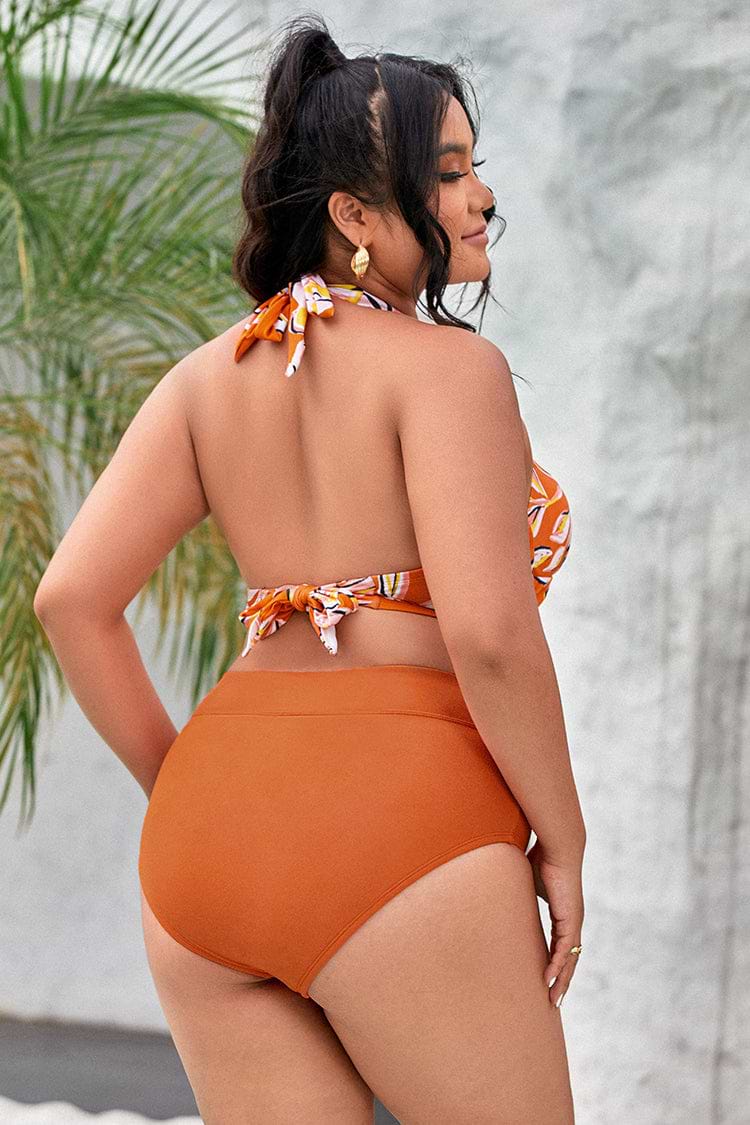 Strawberry Fields Halter High Waist Tummy Control Plus Bikini