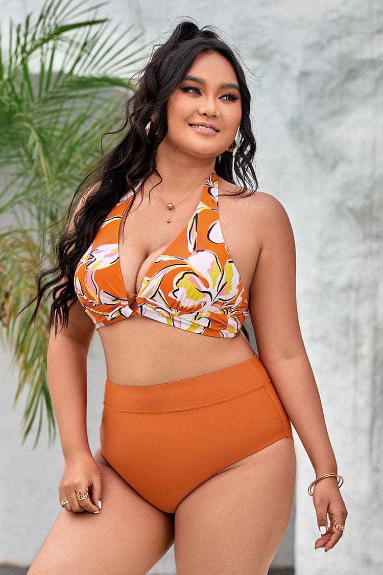 Strawberry Fields Halter High Waist Tummy Control Plus Bikini