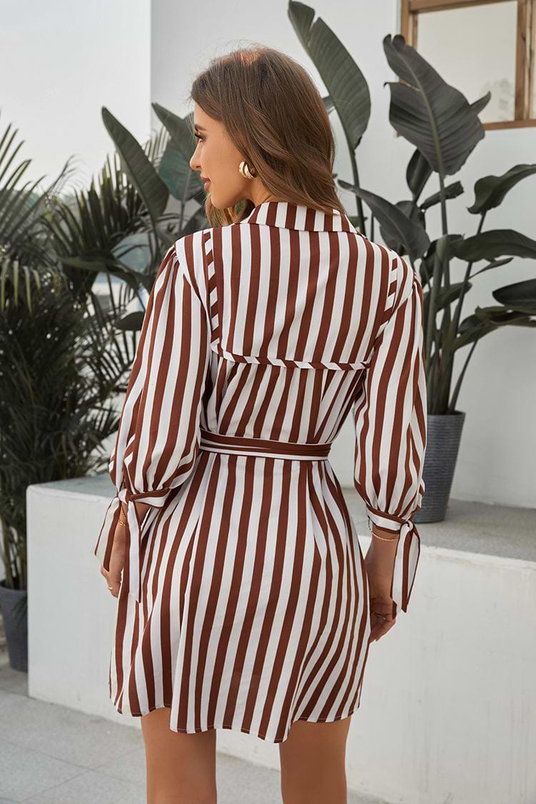 Chantal Shirt Collar Stripe Short Shift Dress