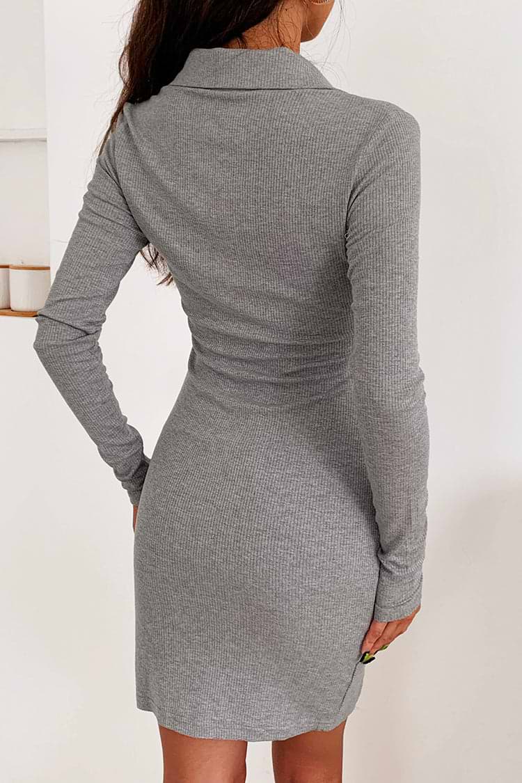 Kiersten Button Front Shirt Dress