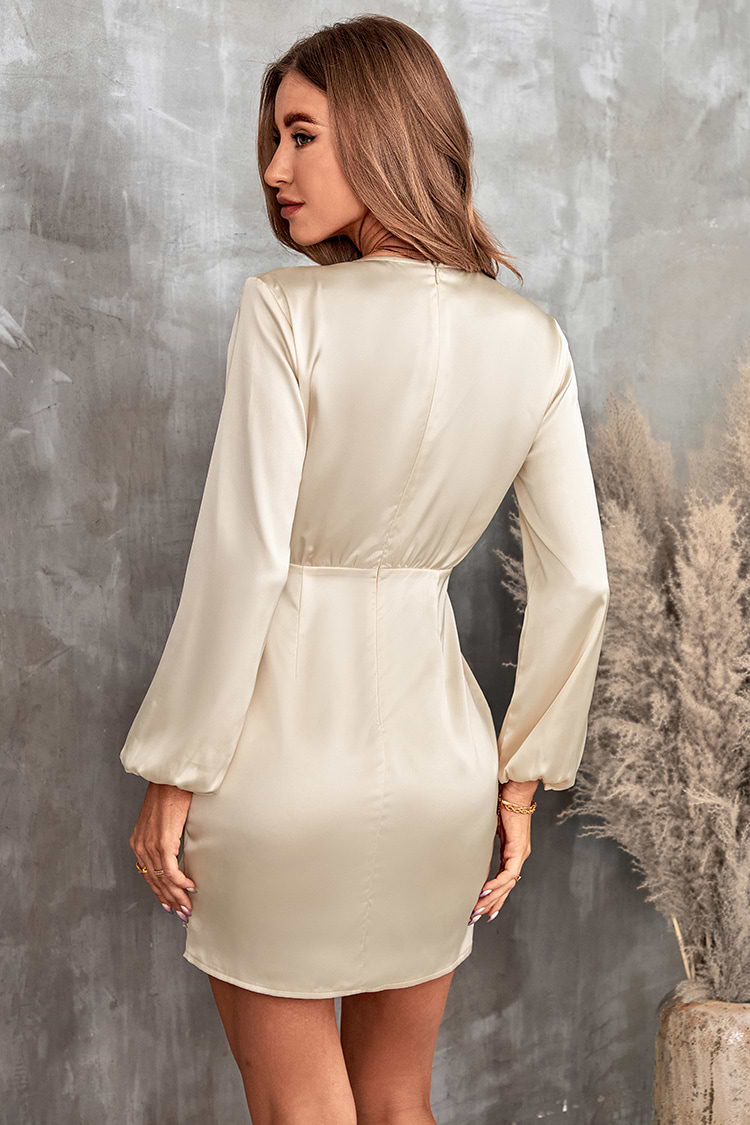 Zyanya Set in Sleeve V-Neck Pleated Dress