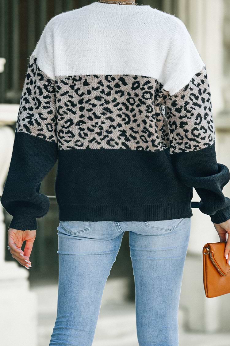 Farbblock Pullover mit Leopardenmuster