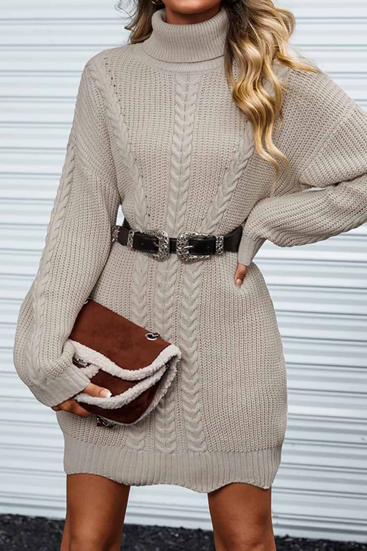 Heart Beat Turtleneck Kint Sweater Dress