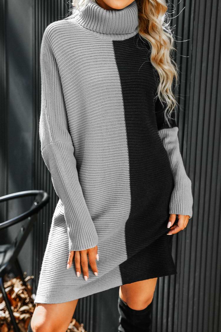 Anne Two-Tone Turtleneck Sweater Dress