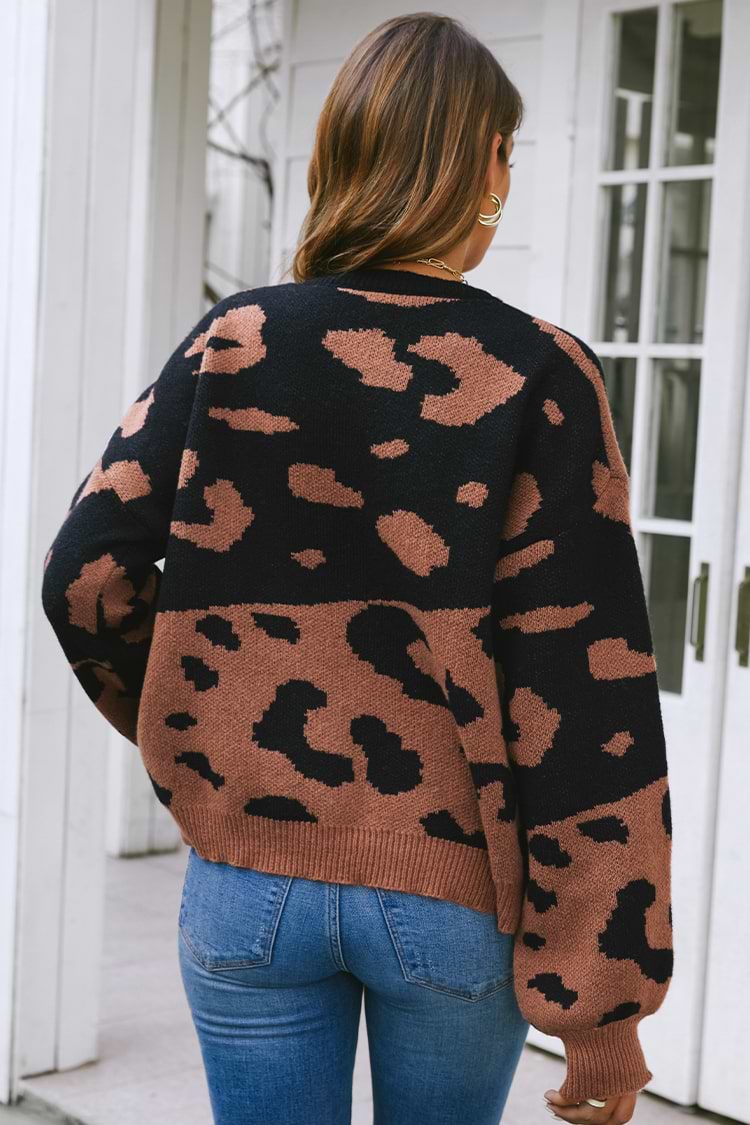 Heartfelt Leopard Print Colorblock Sweater