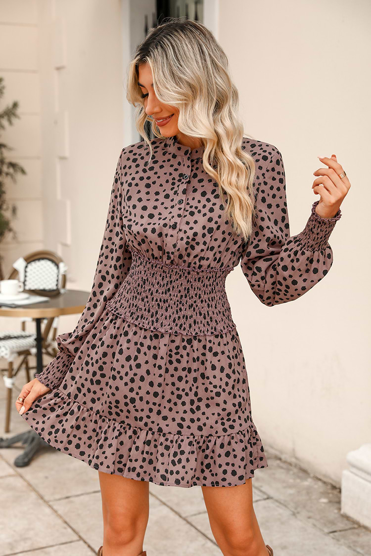 Long Sleeve Cheetah Print Smocked Mini Dress