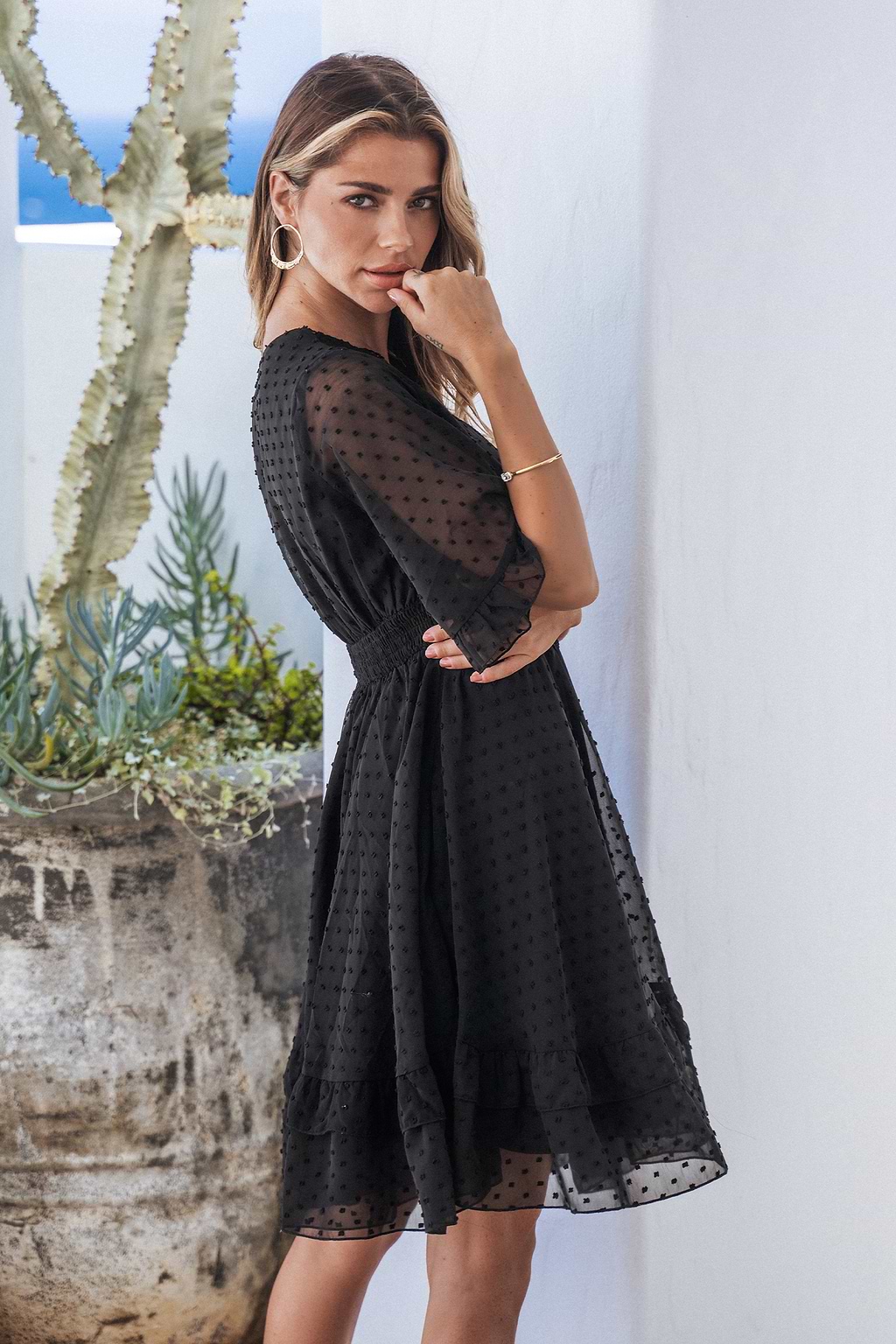 Lizeth Clip Dot Lace V-Neck Mini Dress