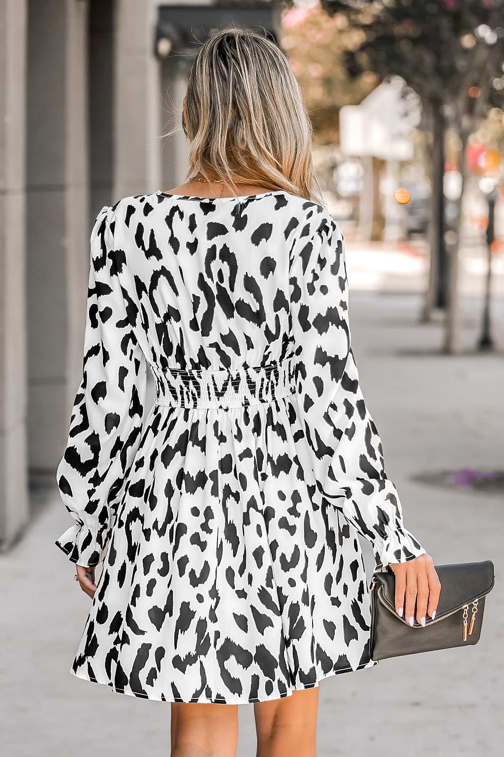 Leopard Print Ruched Mini Dress