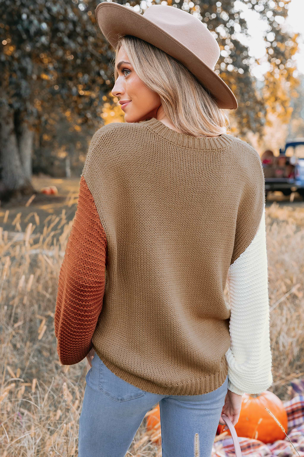 Colorblock Chunky Knit Sweater