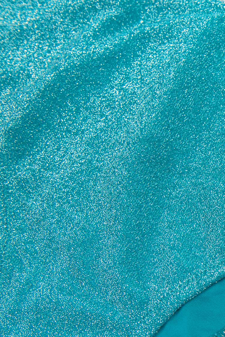 Estelle Shimmery Back Hook High Waist Bikini Swimsuit