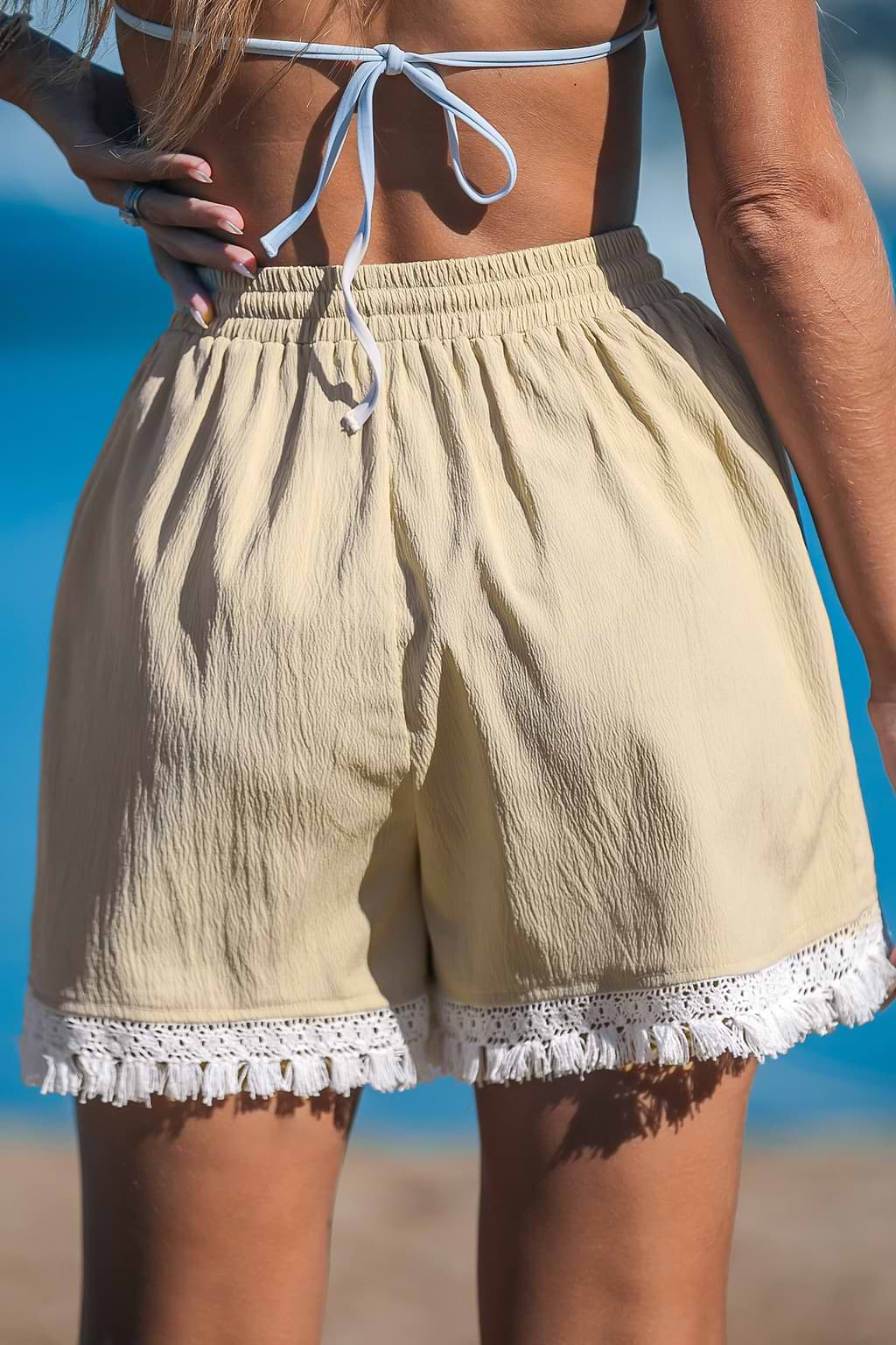 Embroidered Drawstring Waist Shorts
