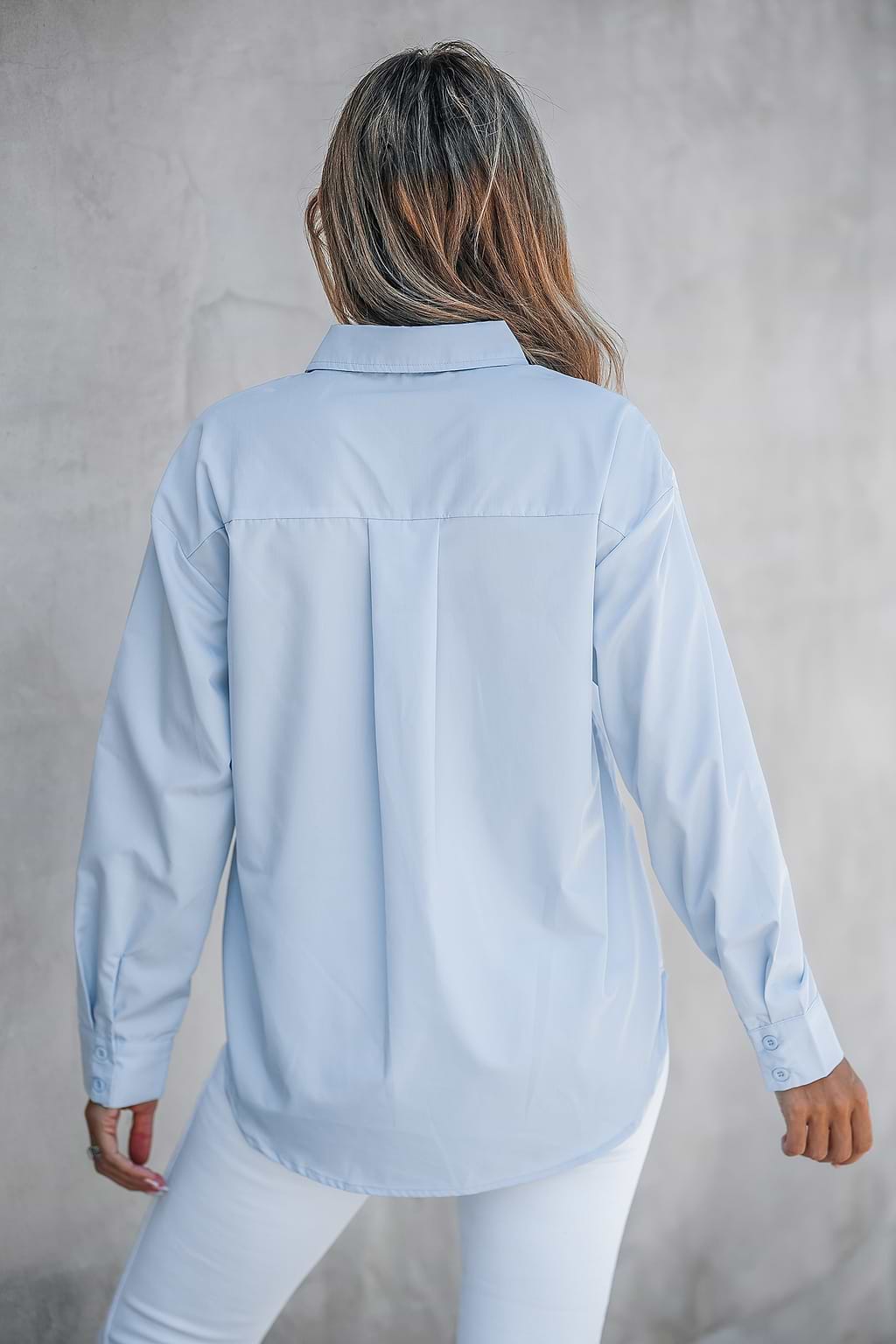 Blue Collared Hidden Button Long Sleeve Shirt