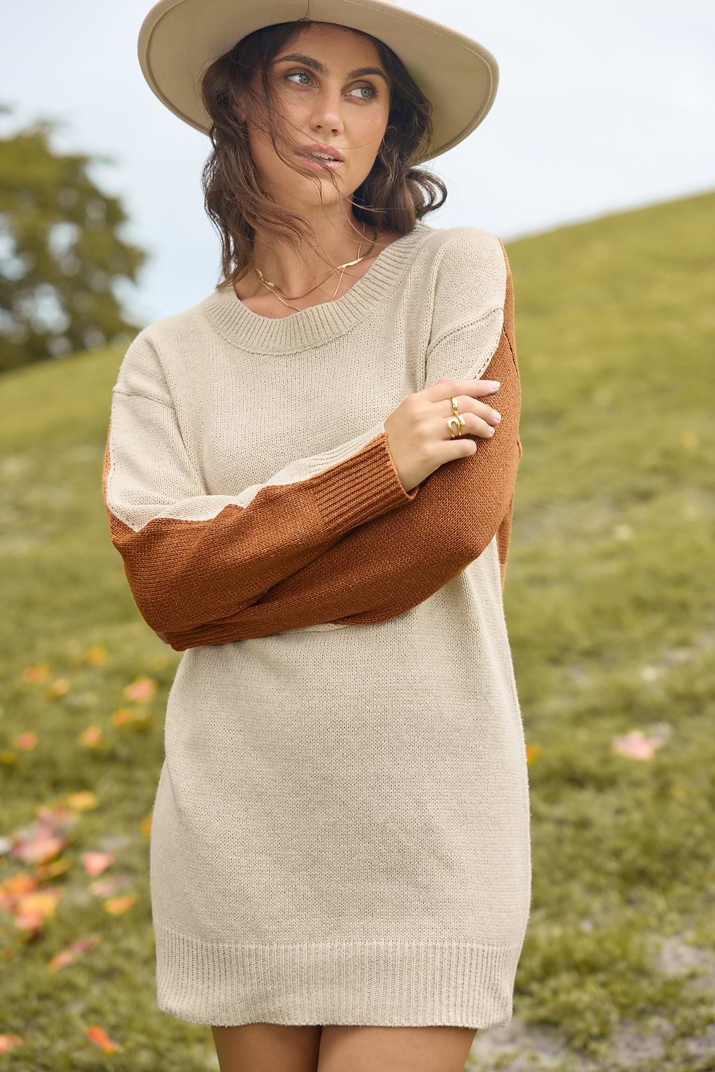 Neutral Colorblock Long Sleeve Mini Sweater Dress