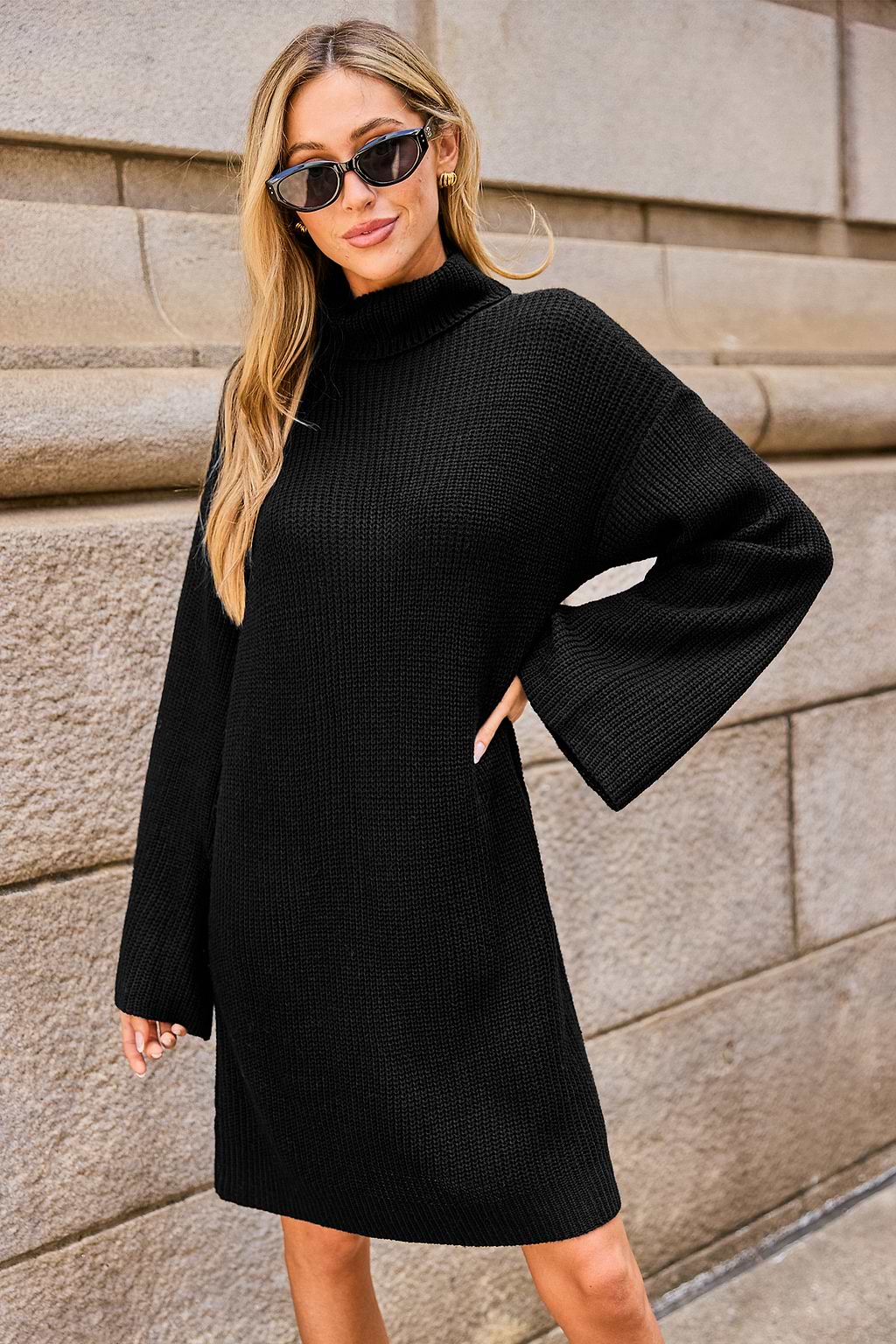Black Turtleneck Long Sleeve Mini Sweater Dress