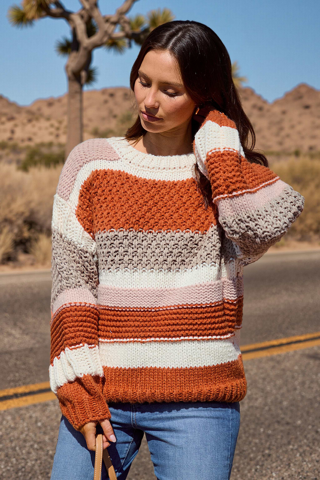 Striped Chunky Knit Long Sleeve Sweater