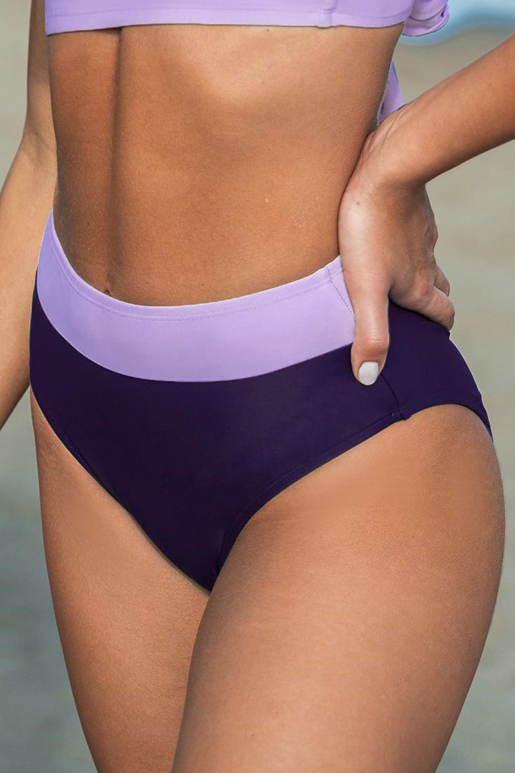 Serene Colorblock Standard Bikini Bottoms
