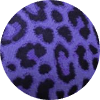 Low Desert Leopard Bikini Set