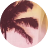 PCH Drive Tropical Shirt