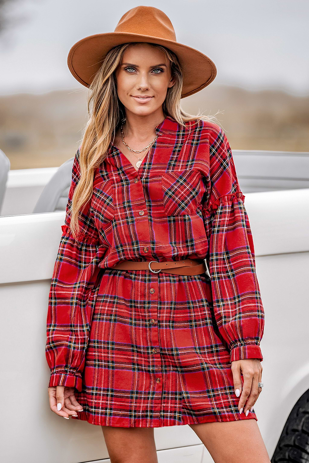 Plaid Ruffled Sleeve Mini Dress