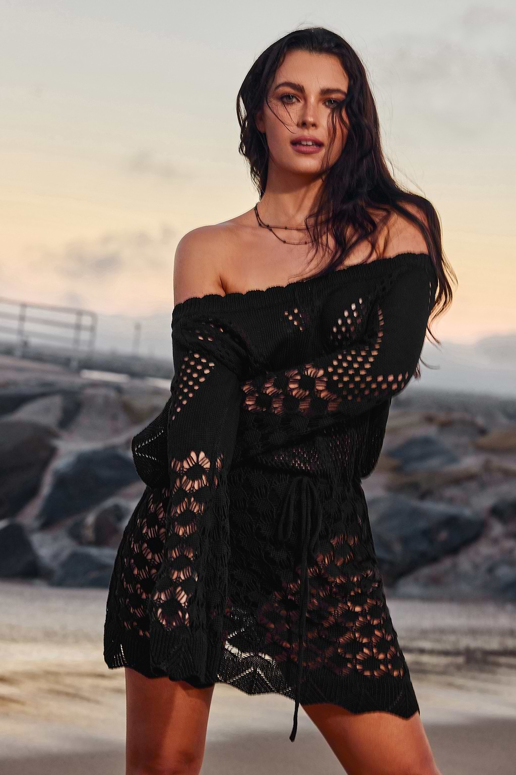Sheer Crochet Off-Shoulder Cover-Up Dress