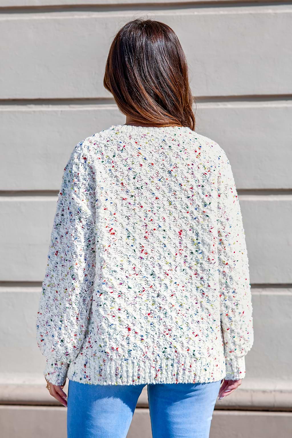 Confetti Knit Round Neck Long Sleeve Sweater