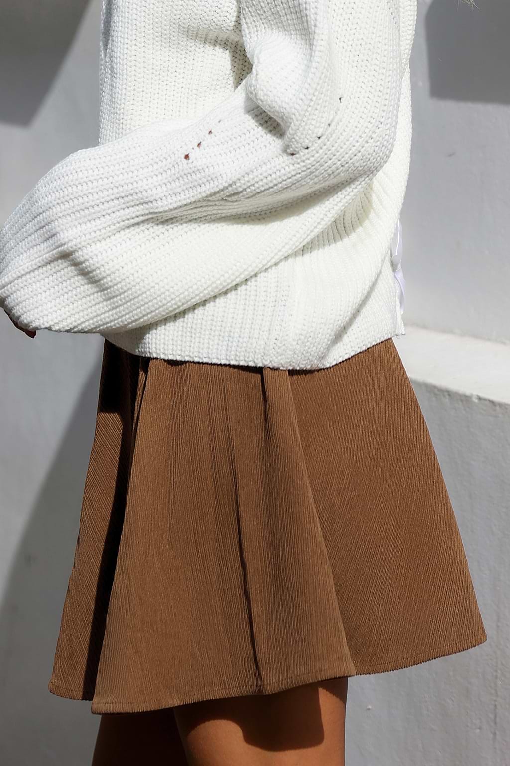 Brown Flared Mini Skirt