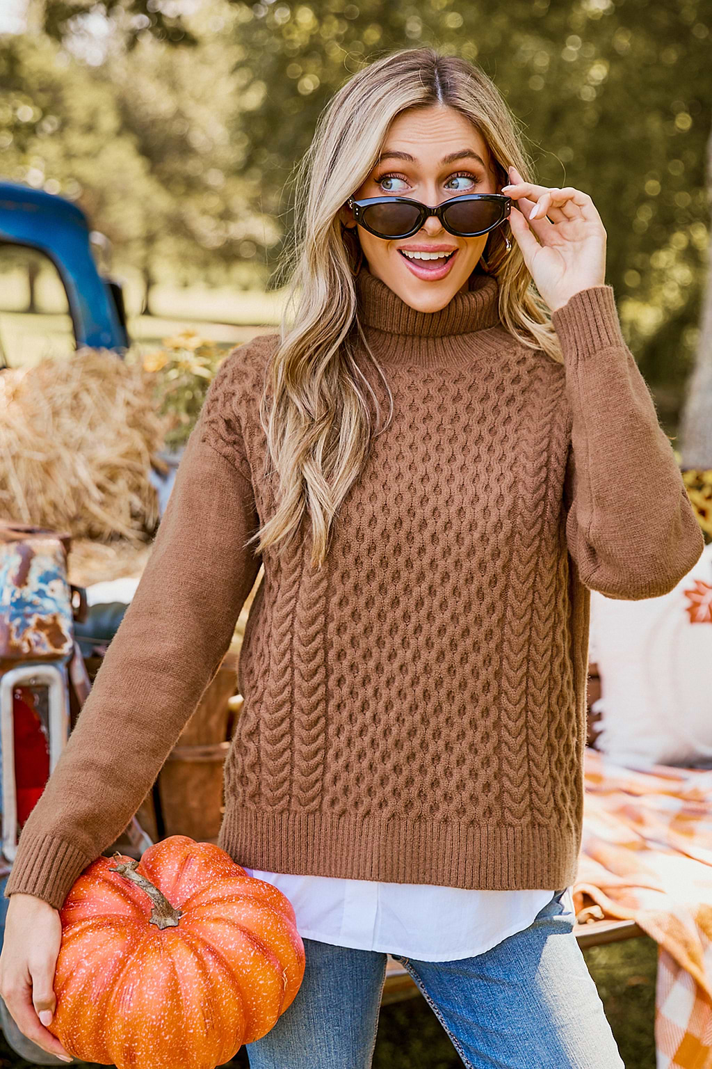 Brown Turtleneck Long Sleeve Sweater