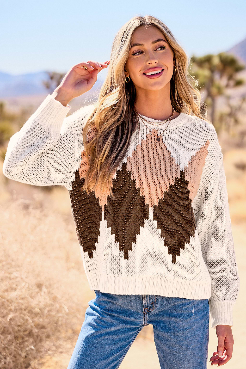 Geo Round Neck Long Sleeve Knit Sweater