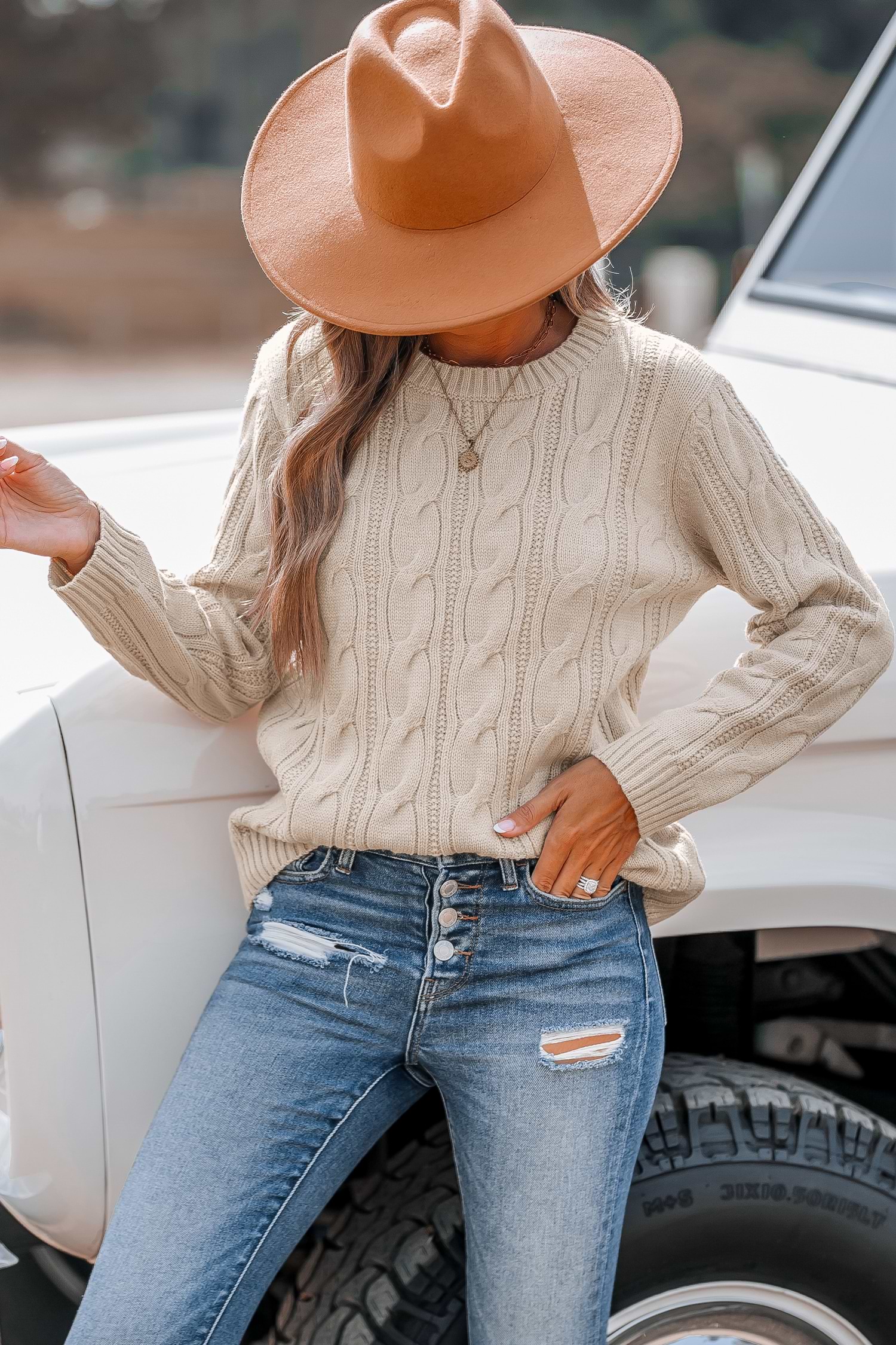 Neutral Round Neck Long Sleeve Cable Knit Sweater