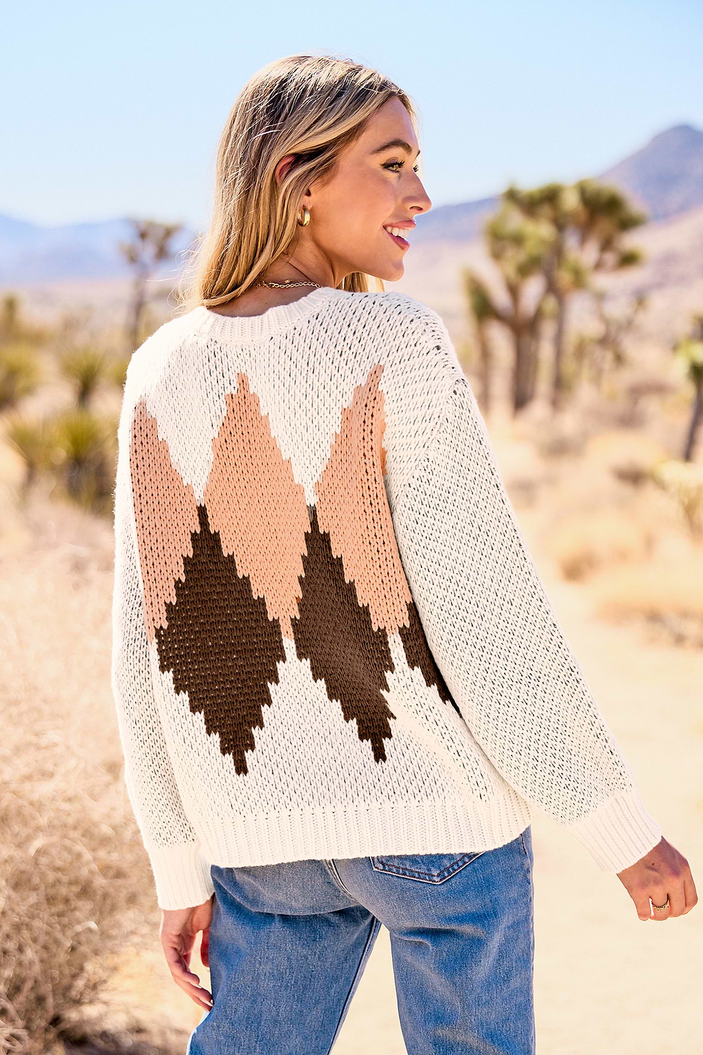 Geo Round Neck Long Sleeve Knit Sweater