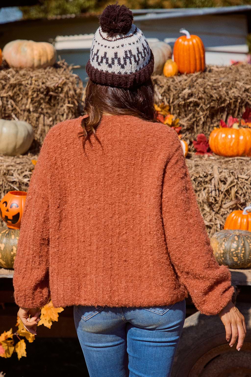 Burnt Orange Round Neck Long Sleeve Fuzzy Knit Sweater