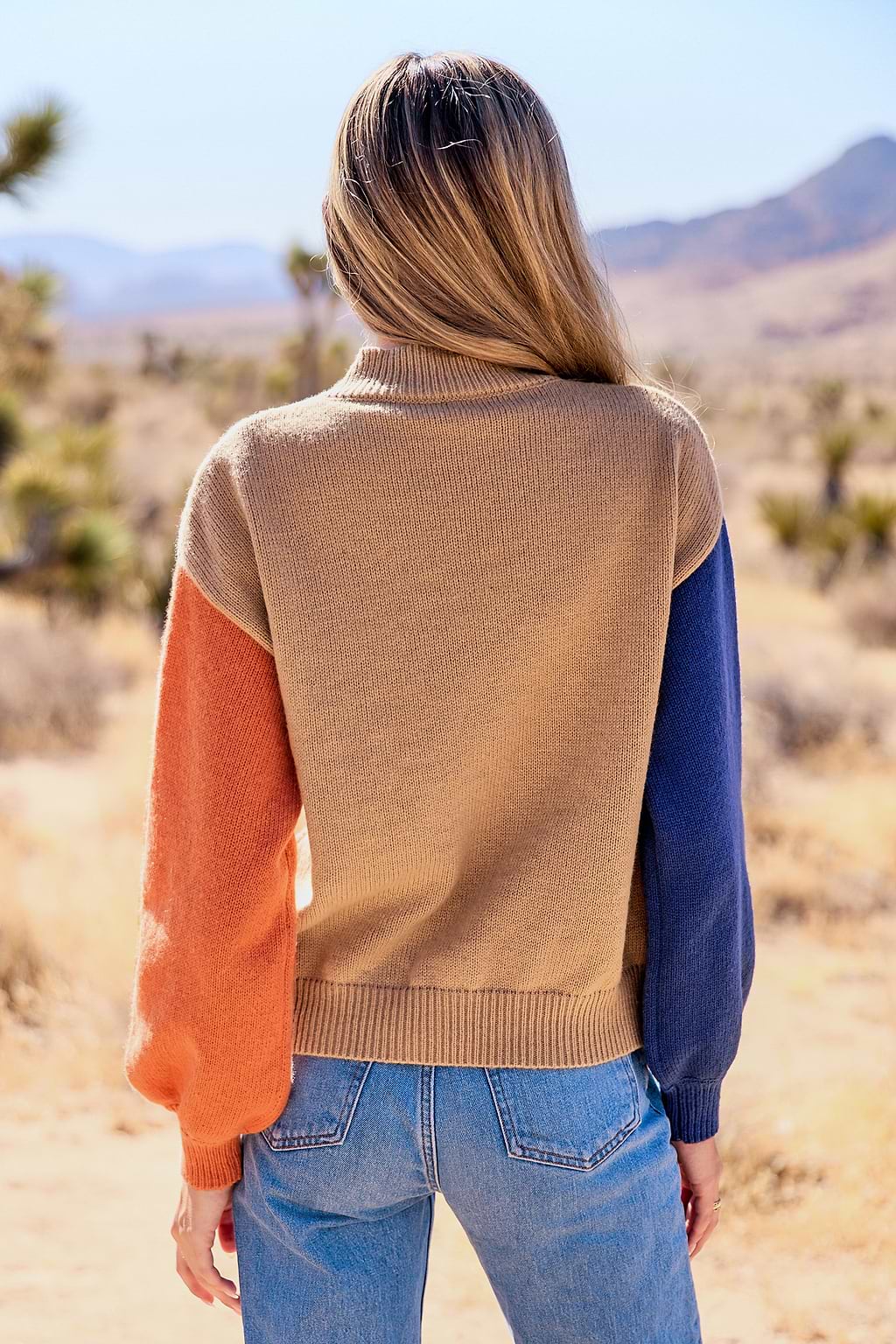 Colorblock Long Sleeve Mockneck Sweater Top