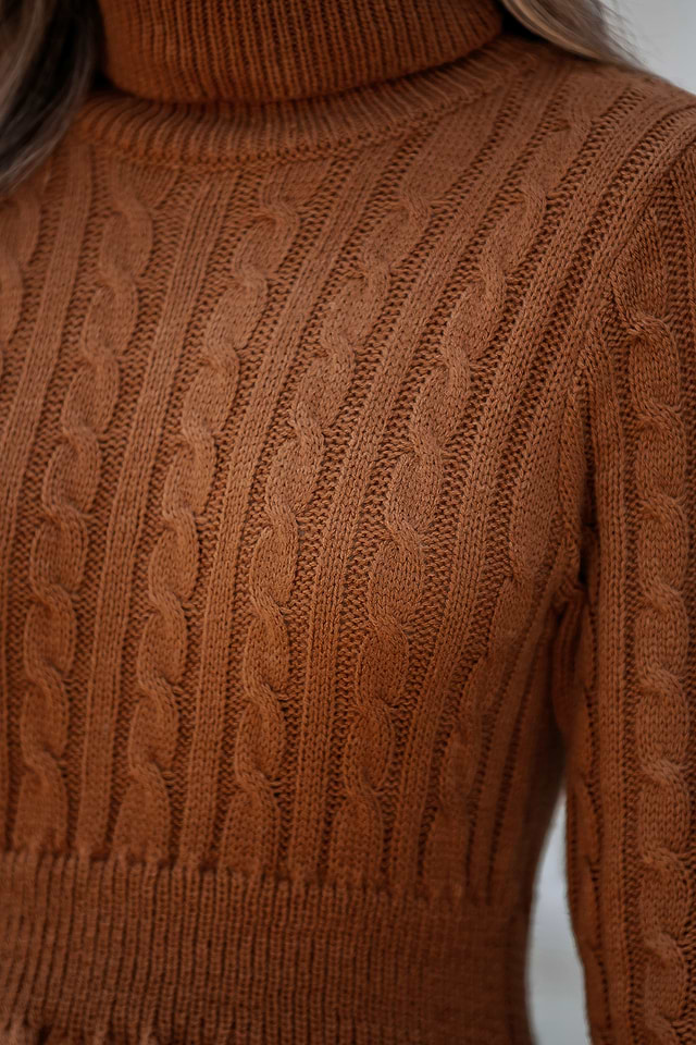 strapless open back dress Burnt Orange Turtleneck Dress Small main image 1