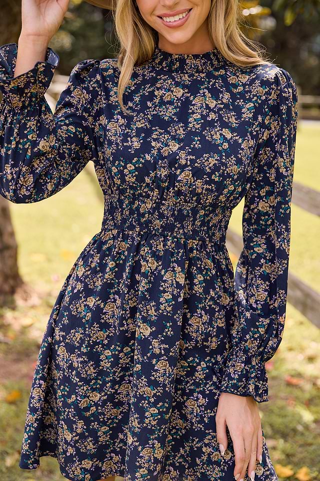 Blue Floral Standing Collar Long Sleeve Ruffle Cuff Mini Dress