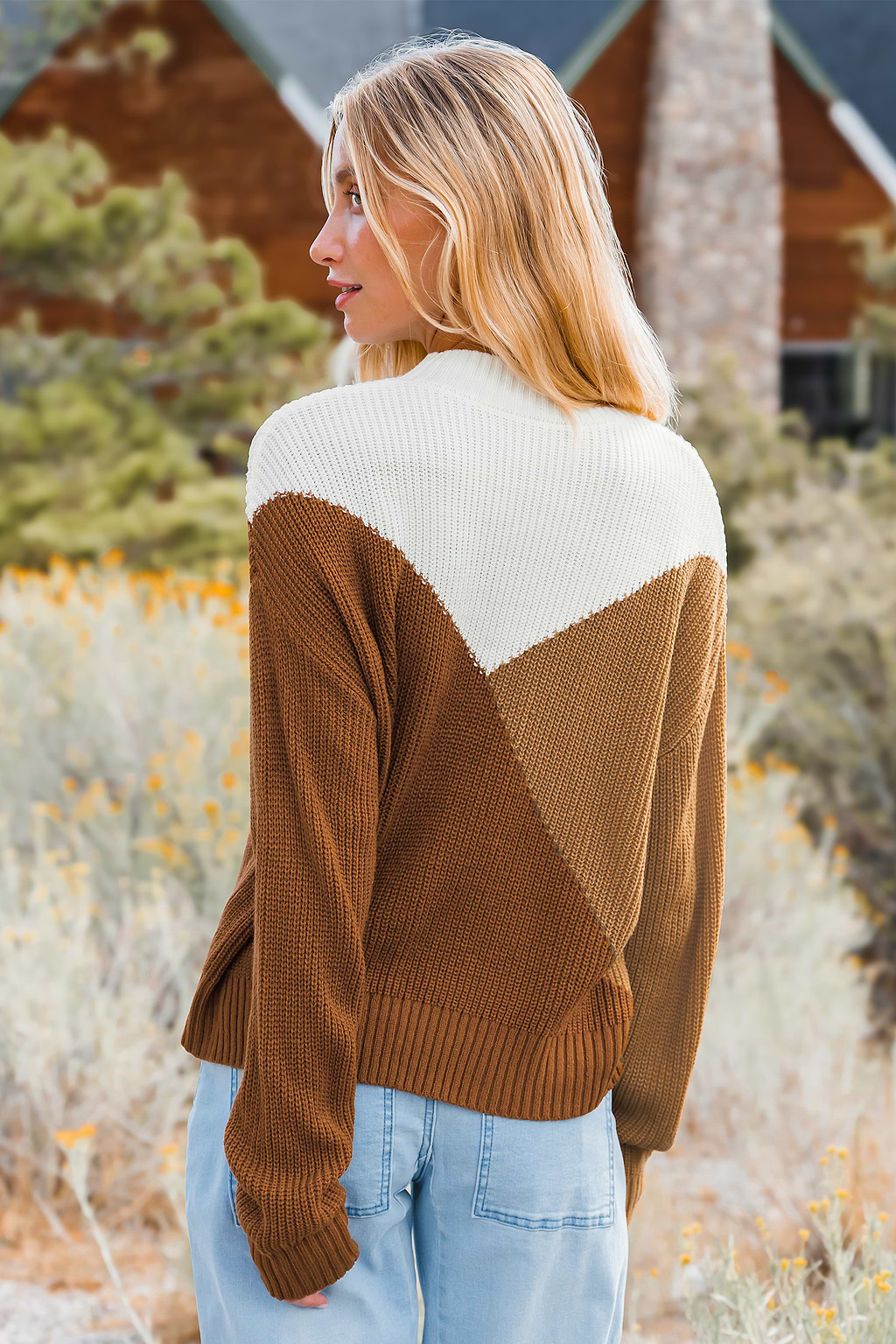 Autumn Colorblock High Neck Long Sleeve Sweater