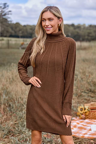 Robe Col RoulÃ© Camel Homme Pull Marron Col RoulÃ© Marron