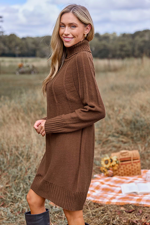 Brown Turtleneck Long Sleeve Mini Sweater Dress | Cozy & Chic | Cupshe