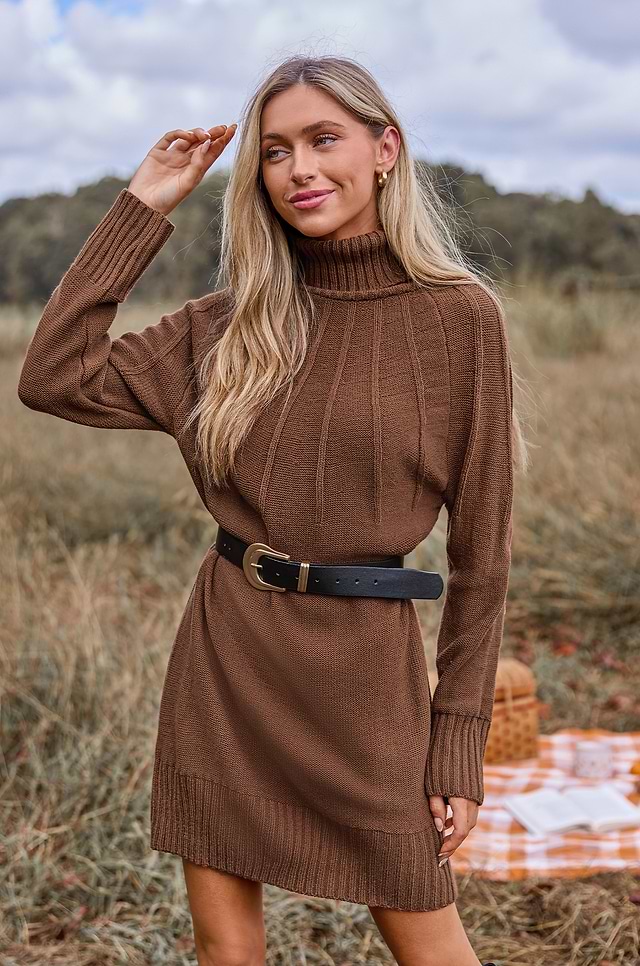 brown suede sleeveless dress Cresida Knit Long Sleeve Mini Dress With Hardware - Peppercorn main image 0