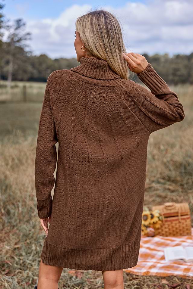 brown long sleeve turtleneck dress Wherever You Go Brown Turtleneck Sweater Dress – Shop the Mint main image 0