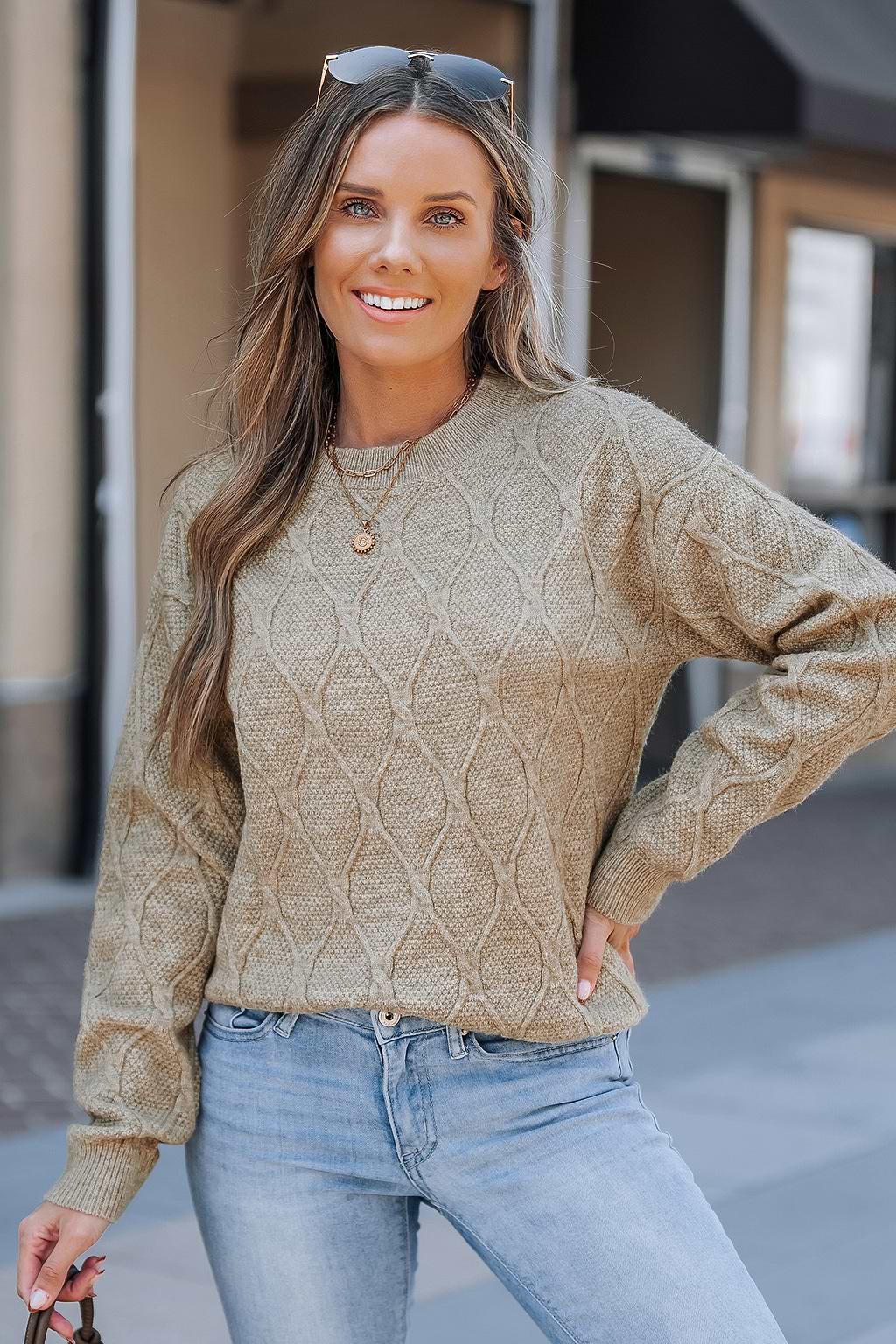 Neutral Knit Round Neck Long Sleeve Sweater