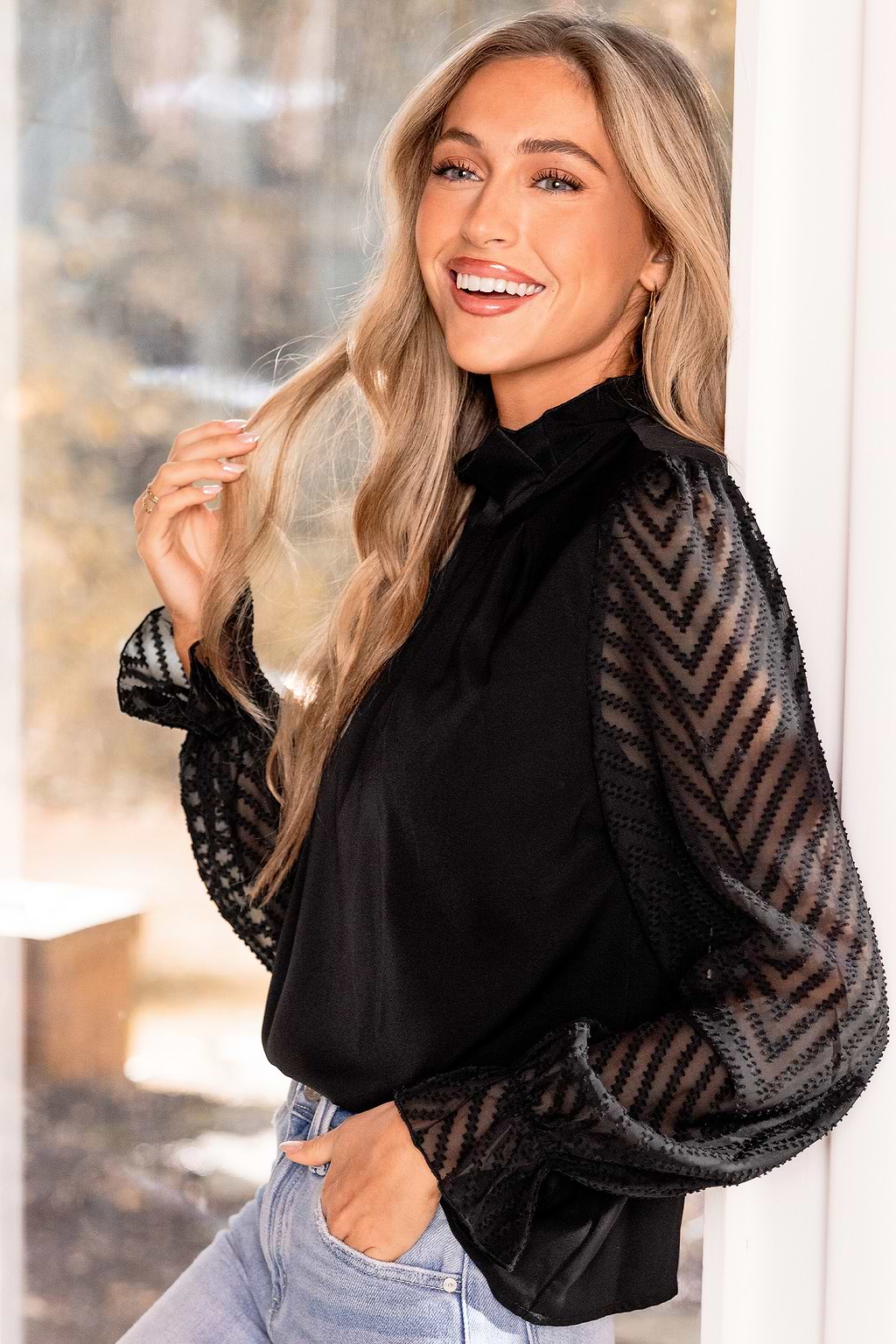 Black Standing Collar Sheer Long Sleeve Blouse