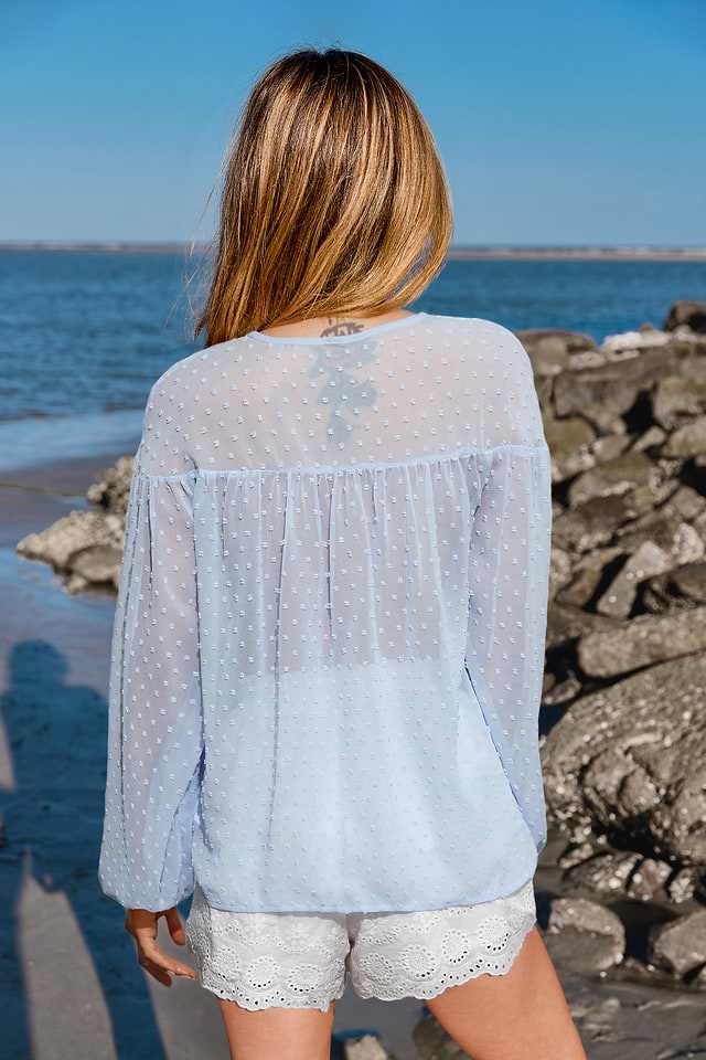 Light Blue Swiss Dot Long Sleeve Sheer Top