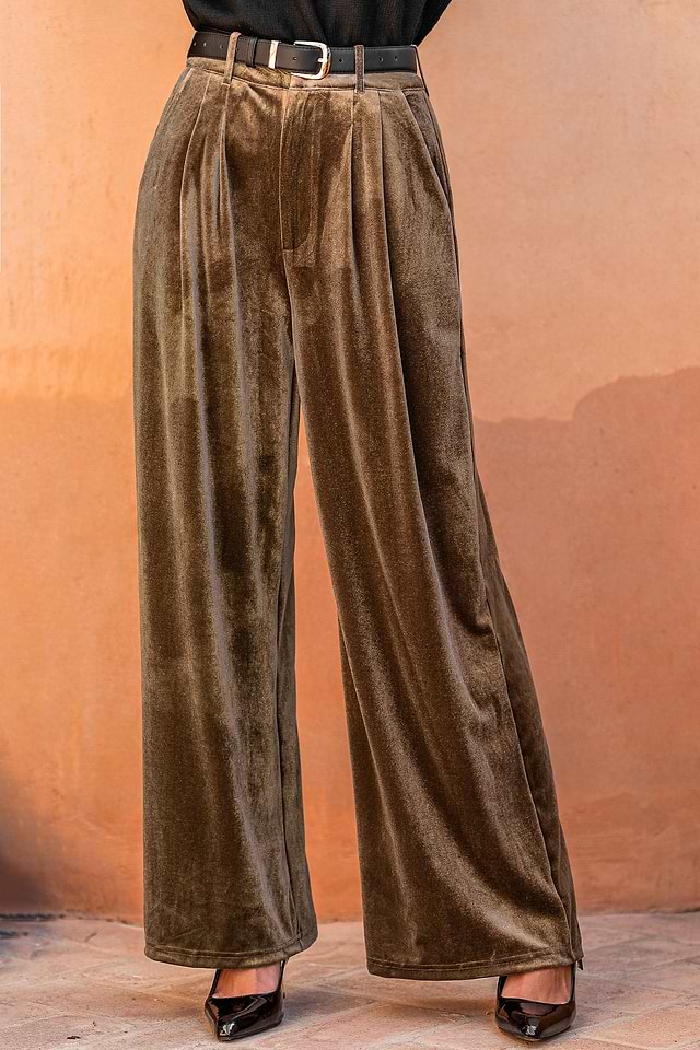 Velvet Heat Brown Pants