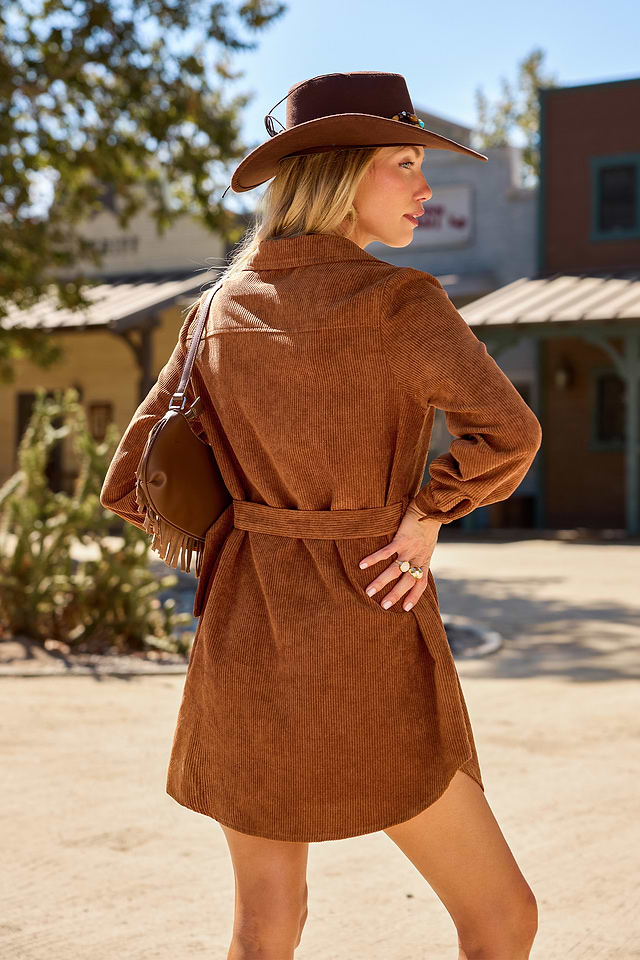 Little Outing Brown Mini Dress