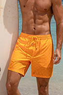 Mellow Yellow Geo Board Shorts